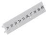 ZB 5,LGS:FORTL.ZAHLEN 31-40 1050017:0031