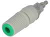 BS-244DSM-G