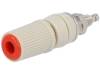 BS-244DSM-R
