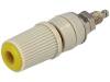 BS-244DSM-Y