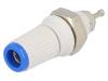 BS-244MN-BL