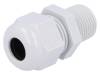 HT 3/8” RAL7035 BSK NPT