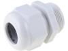 HT 1/2” RAL7035 BSK NPT
