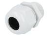 HT 3/4” RAL7035 BSK NPT