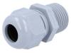 HT 1/2” RAL7001 BSK NPT
