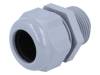 HT 1” RAL7001 BSK NPT