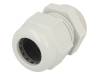 HT M25 RAL7035