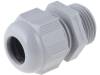 HT M20 RAL7001