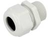 HSK-L M25 RAL7035