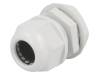 RNMG20X1.5