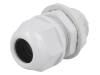 RNMG20X1.5L