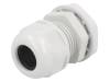 RNMG25X1.5