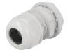 RNMG25X1.5L