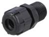 BM4917LN