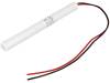 CL-AA/HT3.6V/L