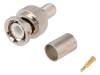 BNC-135 BNC-135