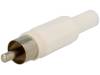 CC-006W CC-006W