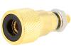 CL2160B TP/6 CS