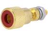 CL2160R TP/6 CS