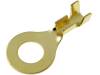 KON-M6