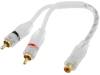 RCA-WH.Y2/1 RCA-WH.Y2/1