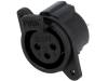 XNACF2V (CP300283)