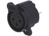 XNACF3V (CP300284)