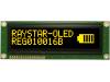 REG010016BYPP5N00000