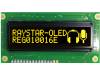 REG010016EYPP5N00000
