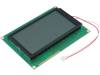 RG12864A-FHG-V