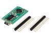 MINI-AT BOARD - 3.3V