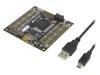 LCMXO3L-6900C-S-EVN