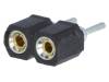 DS1002-01-1*2V13