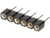 DS1002-01-1*6V13