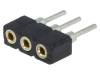 DS1002-02-1*3BT1F6