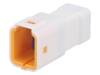 06T-JWPF-VSLE-D 06T-JWPF-VSLE-D