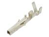 N42W-T1 Mini-Fit (Micro-Fit)(CP-01200104)(MF-MT)(контакты-контакти "мама")(KWF5150PINT) (JVT1149TB-SNSH) N42W-T1 Mini-Fit (Micro-Fit)(CP-01200104)(MF-MT)(контакты-контакти "мама")(KWF5150PINT) (JVT1149TB-SNSH)
