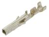 N42W-T2 Mini-Fit (Micro-Fit)(CP-01200104)(MF-MT) (контакт)(контакты-контакти "мама") mini fit (KWF5150PINT) (JVT1149TB-SNSH) N42W-T2 Mini-Fit (Micro-Fit)(CP-01200104)(MF-MT) (контакт)(контакты-контакти "мама") mini fit (KWF5150PINT) (JVT1149TB-SNSH)