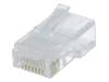 RJ45WD