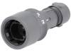 PXP6010/02P/CR/0507