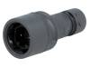 PXP6010/02P/ST/0507