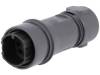 PXP6011/08P/CR/0709