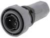 PXP7010/02P/ST/1113