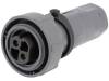 PXP7010/02S/ST/1113