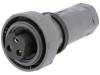 PXP7010/03S/ST/1315