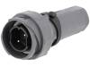 PXP7011/02P/ST/1113