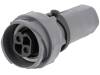 PXP7011/02S/ST/1113