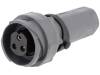 PXP7011/03S/ST/1315