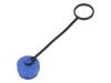 CAP-SP1310I