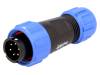 SP1310/P6I